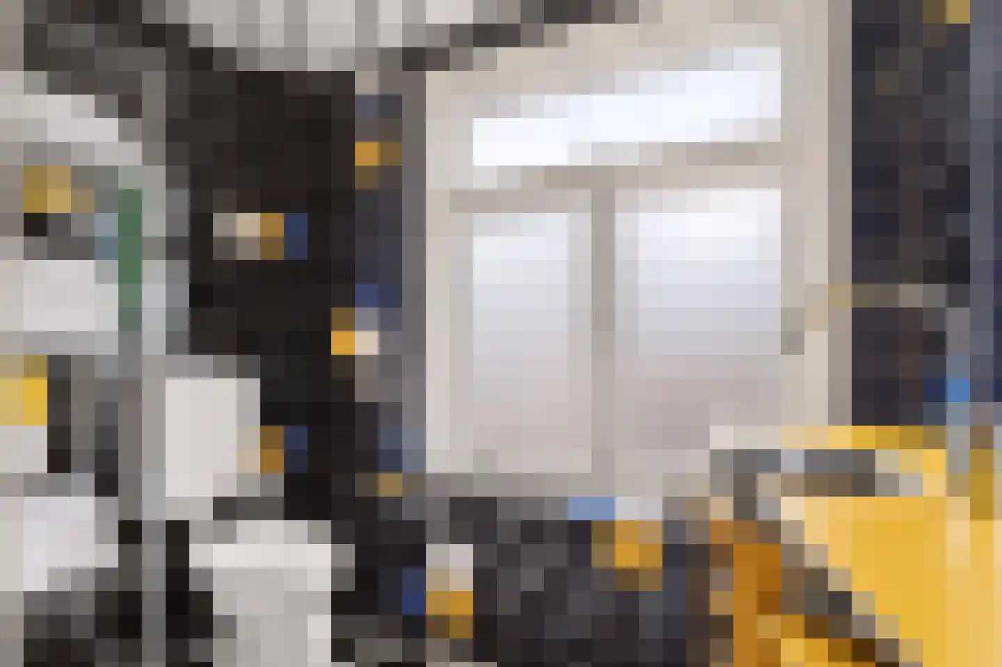 Celestraat 4 Zwolle thumbnail 27