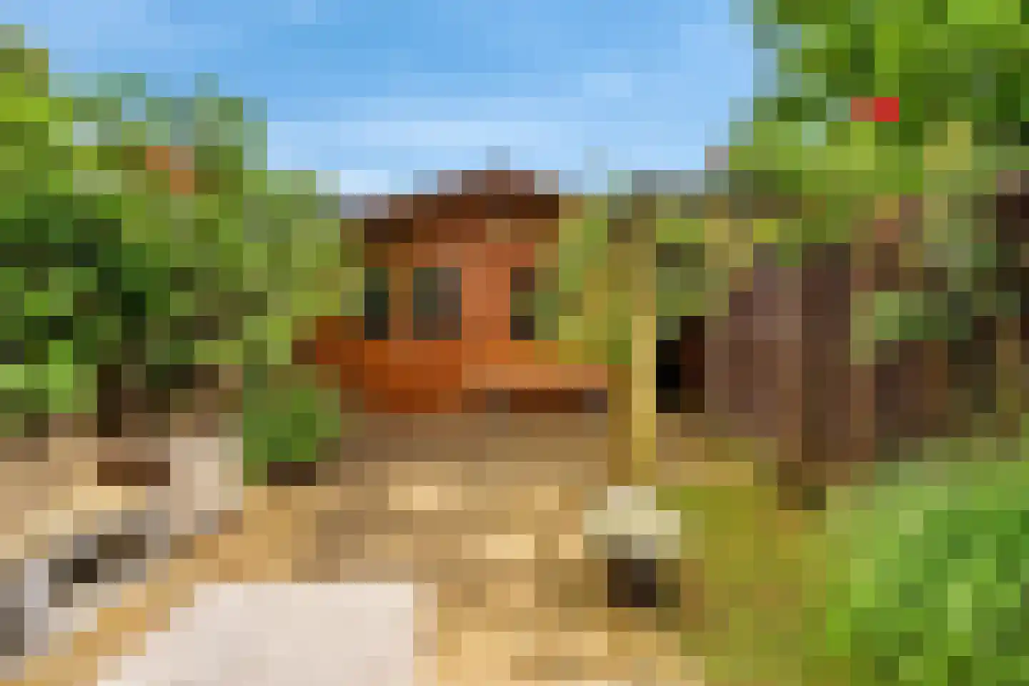 Celestraat 4 Zwolle thumbnail 34