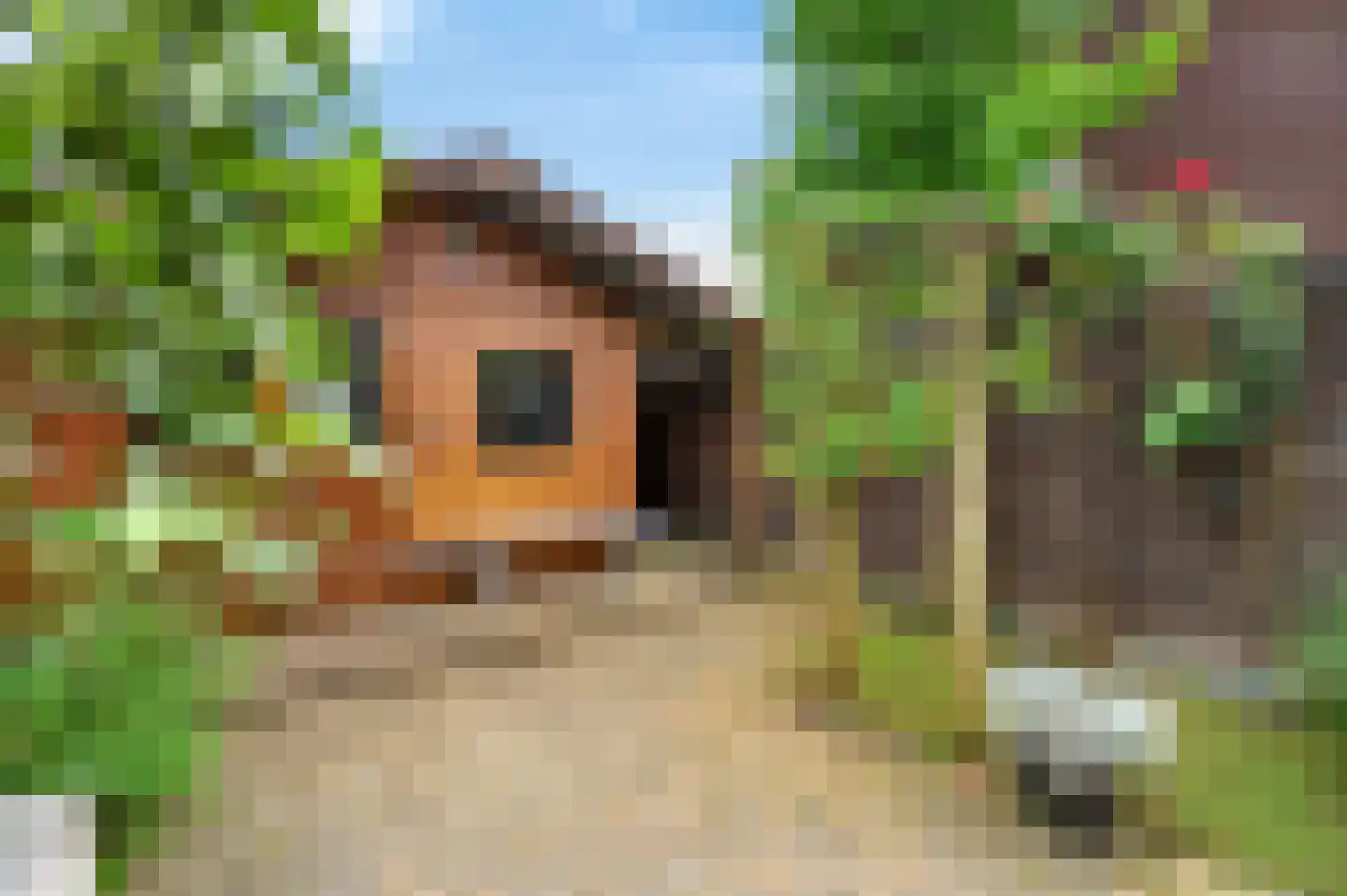 Celestraat 4 Zwolle thumbnail 35