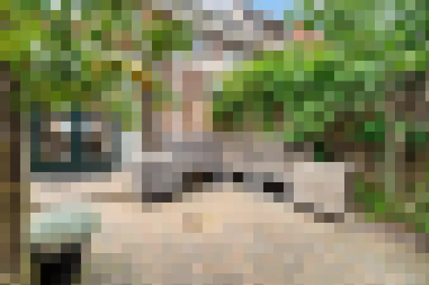 Celestraat 4 Zwolle thumbnail 38