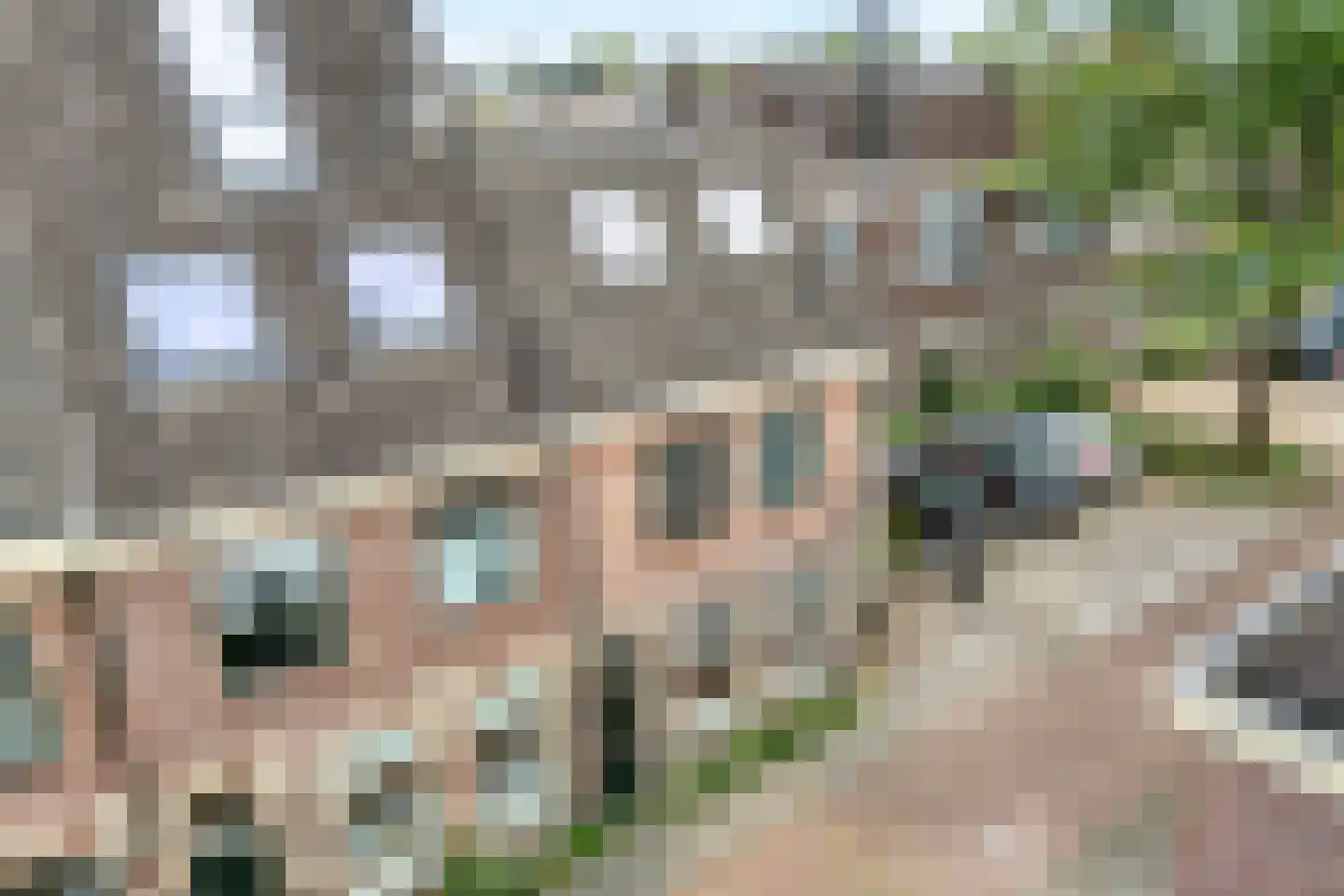 Celestraat 4 Zwolle thumbnail 39