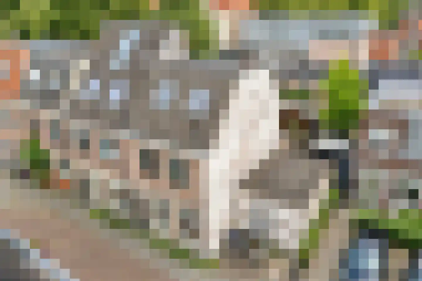 Celestraat 4 Zwolle thumbnail 40