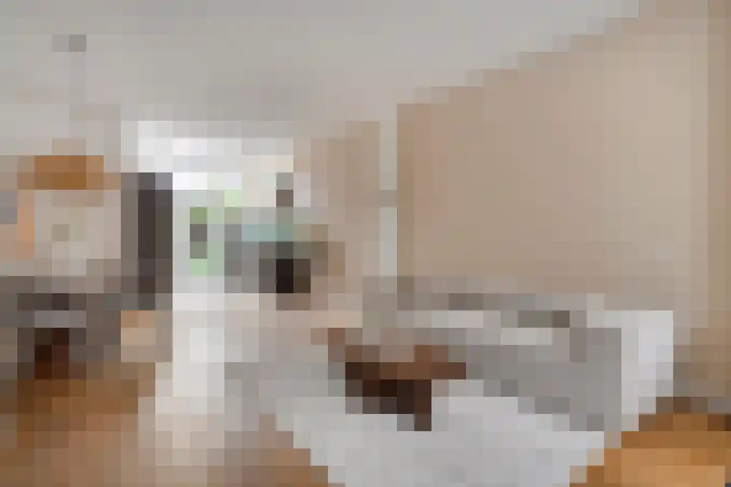 Celestraat 4 Zwolle thumbnail 7