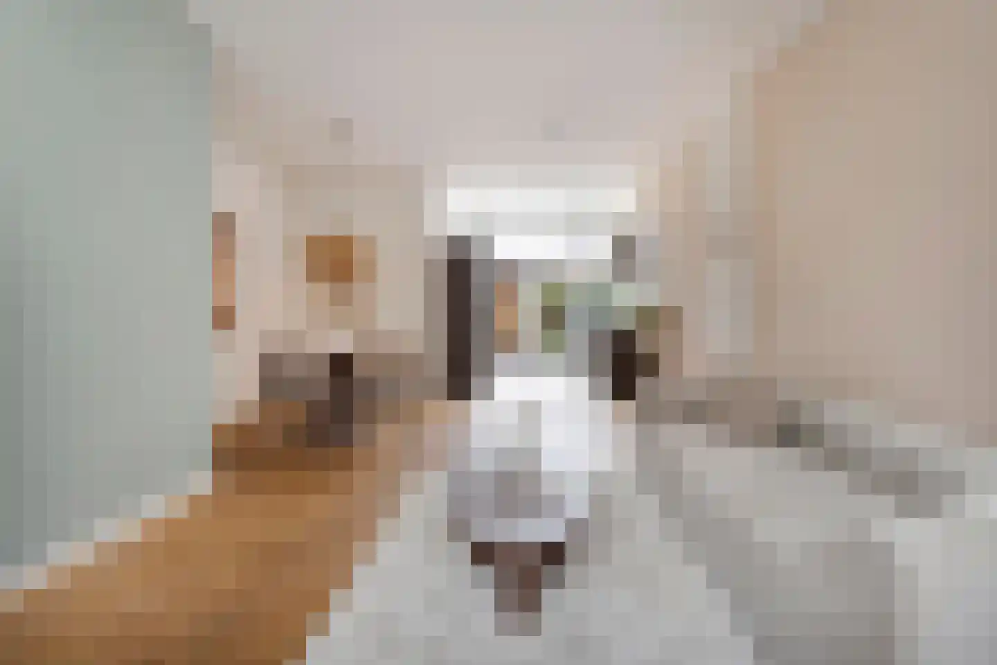 Celestraat 4 Zwolle thumbnail 8