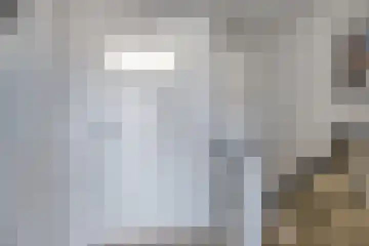 Celestraat 9 Zwolle thumbnail 11