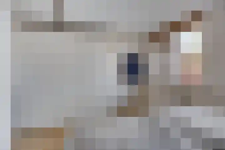 Celestraat 9 Zwolle thumbnail 13