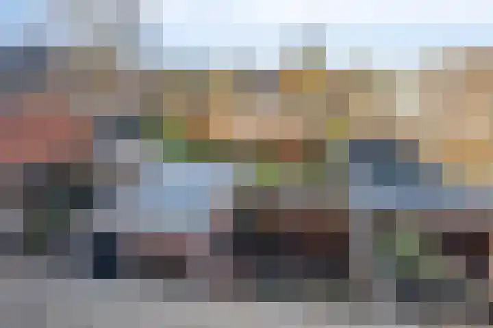 Celestraat 9 Zwolle thumbnail 22