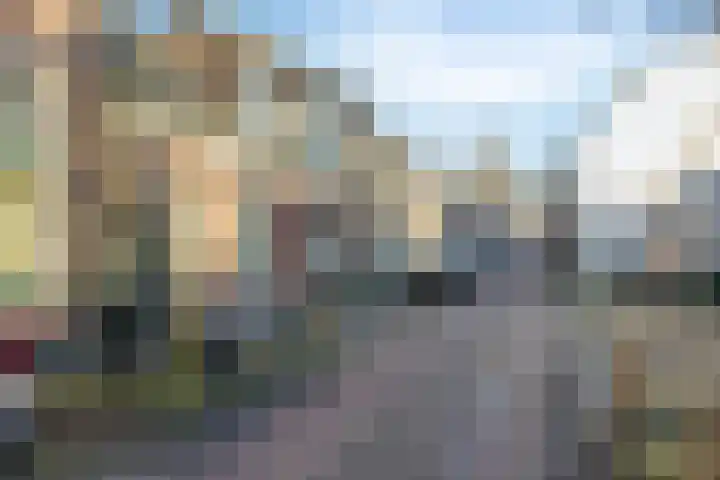 Celestraat 9 Zwolle thumbnail 24