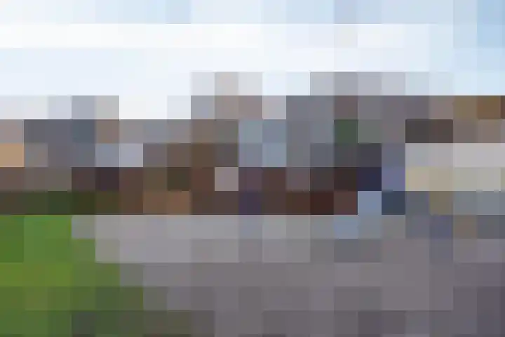 Celestraat 9 Zwolle thumbnail 25