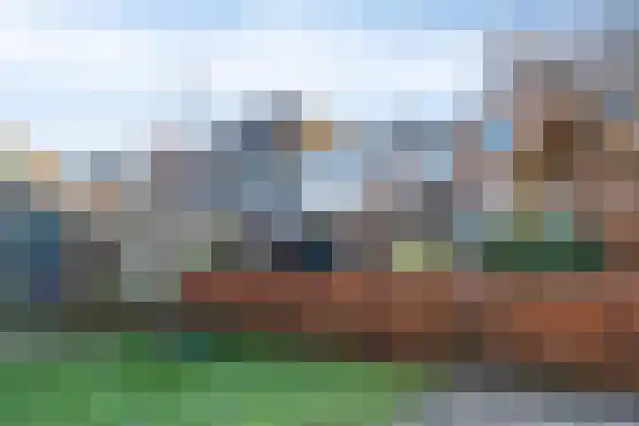 Celestraat 9 Zwolle thumbnail 26