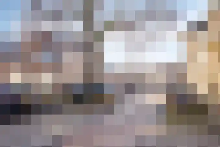 Celestraat 9 Zwolle thumbnail 27