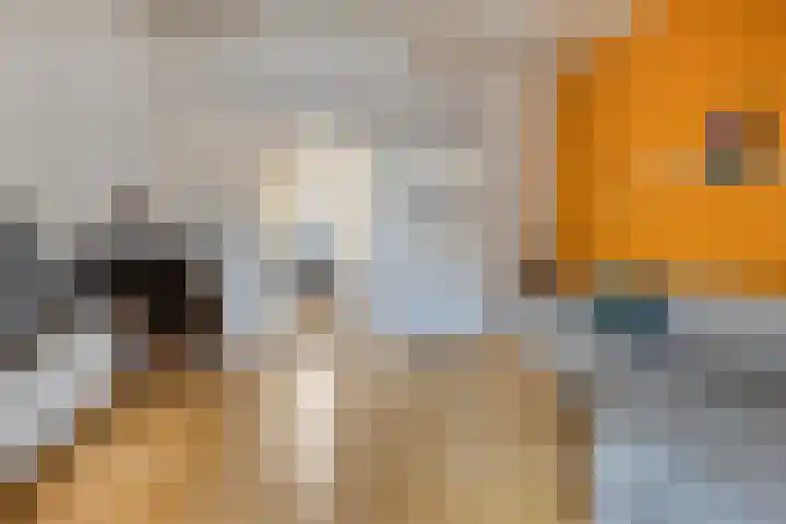 Celestraat 9 Zwolle thumbnail 4
