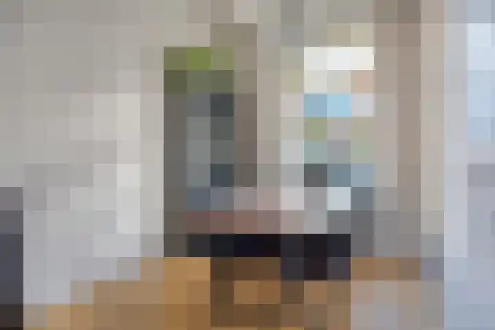 Celestraat 9 Zwolle thumbnail 5
