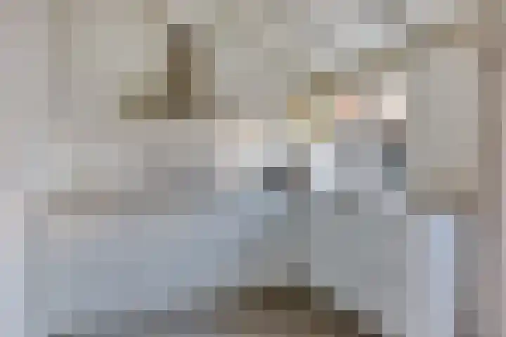 Celestraat 9 Zwolle thumbnail 8