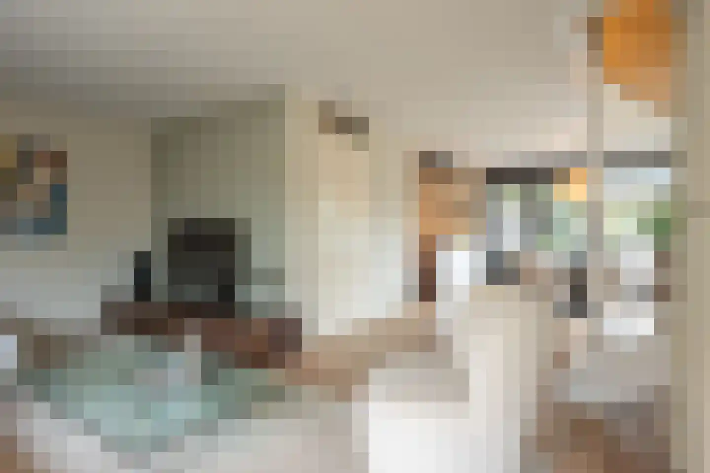 Céline Klinkenberghstraat 16 Sittard thumbnail 31