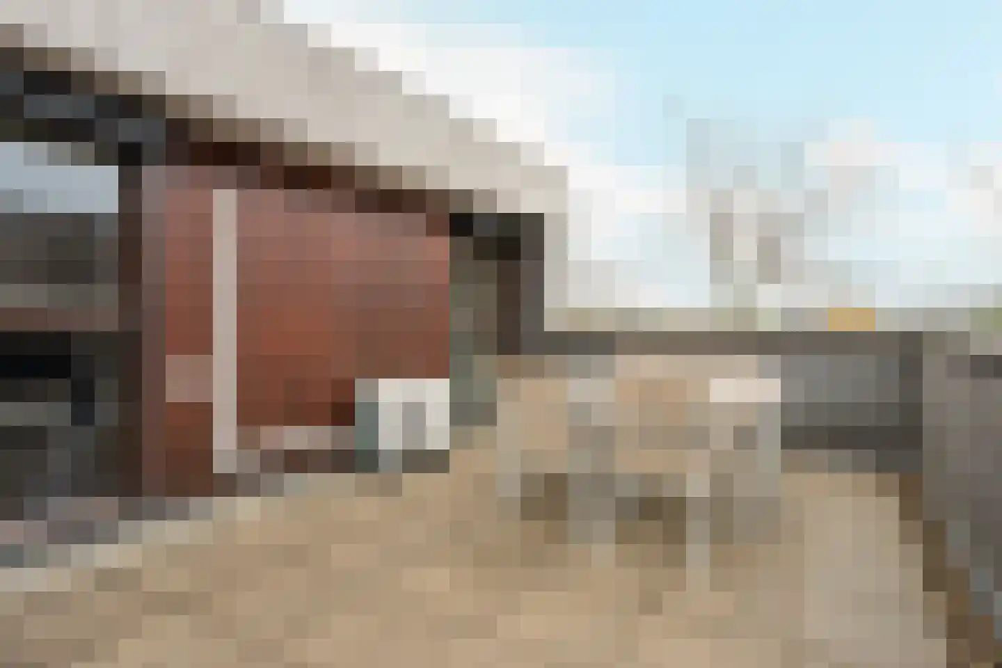 Céline Klinkenberghstraat 16 Sittard thumbnail 37