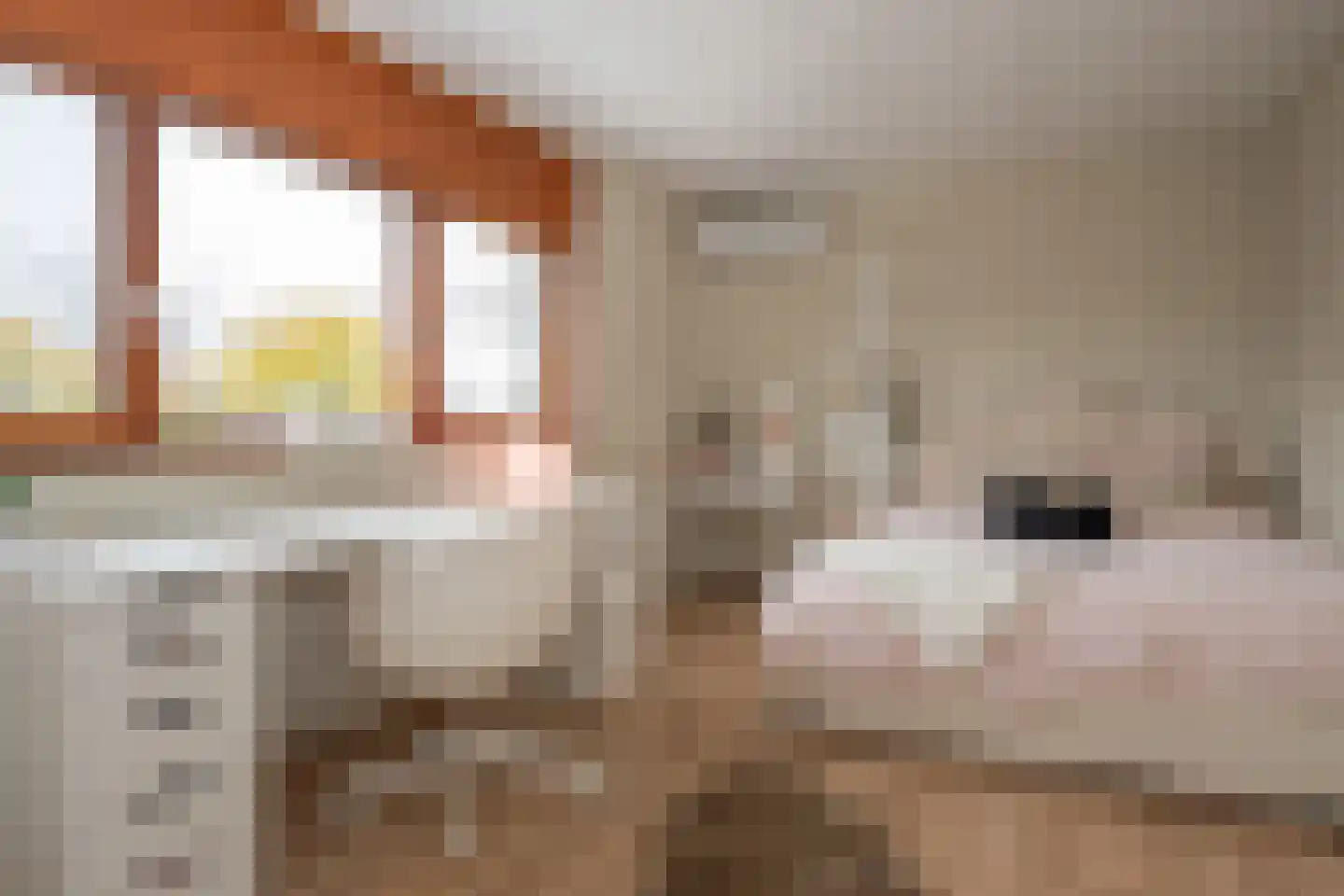 Céline Klinkenberghstraat 16 Sittard thumbnail 45