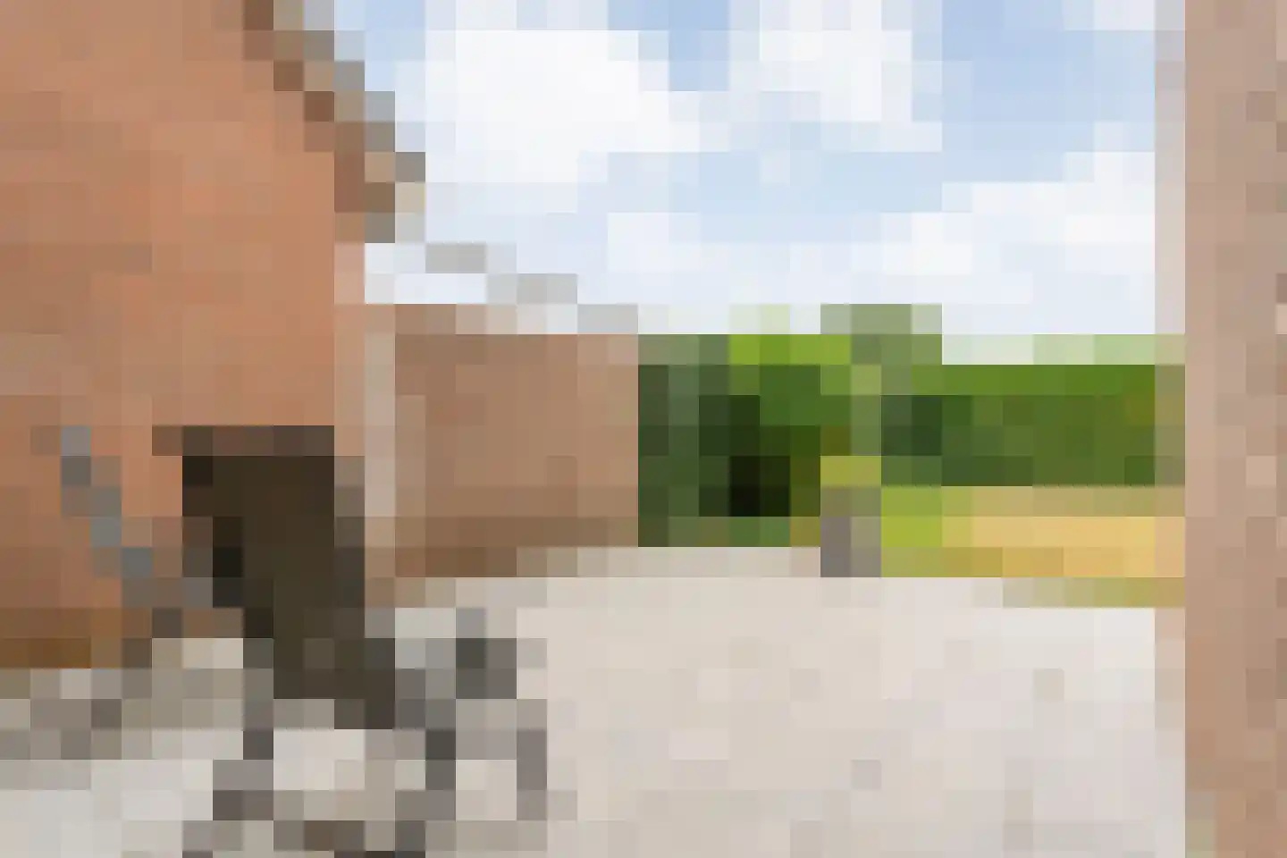 Céline Kuypersstraat 27 Coevorden thumbnail 34