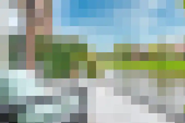 Cella Gallia 26 Houten thumbnail 12