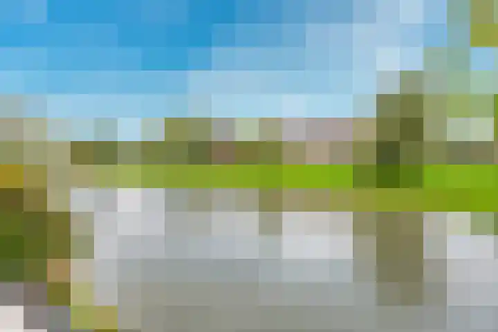 Cella Gallia 26 Houten thumbnail 13