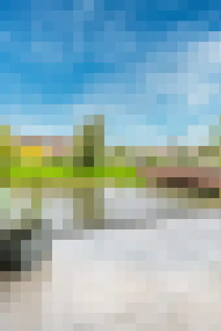 Cella Gallia 26 Houten thumbnail 15
