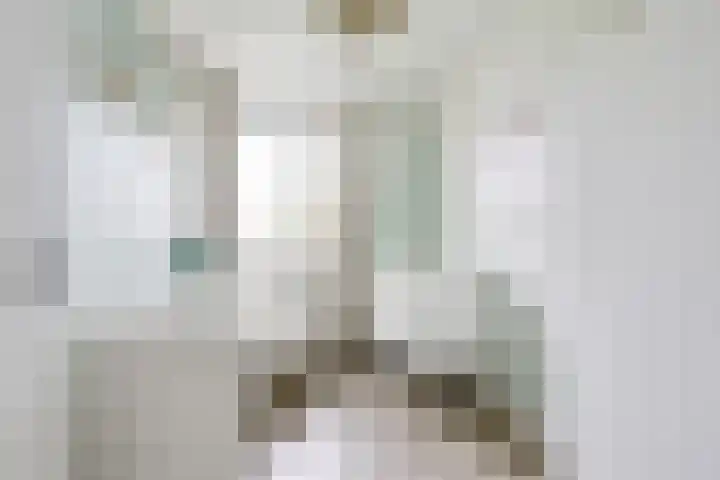 Cella Gallia 26 Houten thumbnail 19