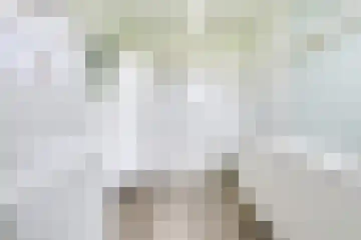 Cella Gallia 26 Houten thumbnail 20