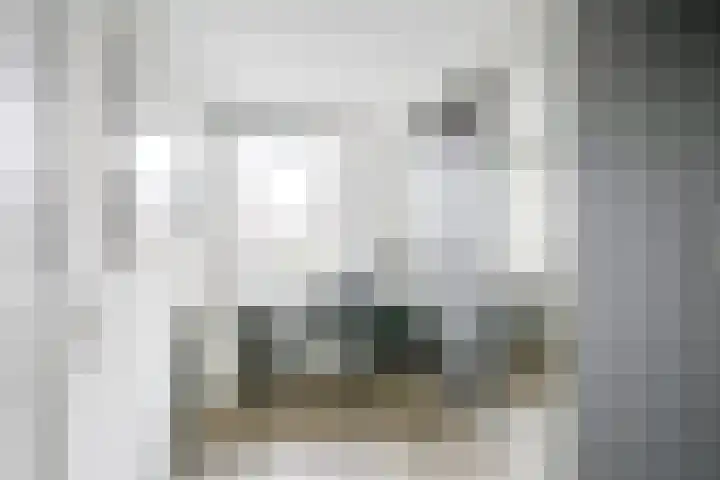 Cella Gallia 26 Houten thumbnail 21
