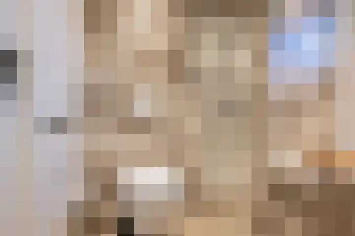 Cella Gallia 26 Houten thumbnail 23