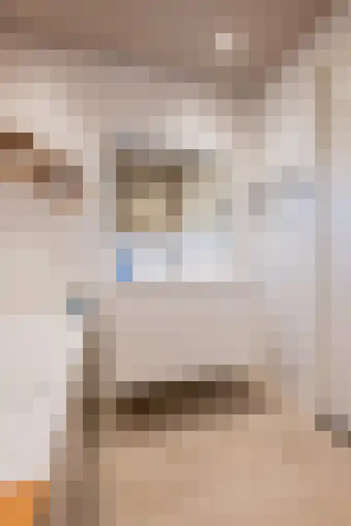 Cella Gallia 26 Houten thumbnail 24