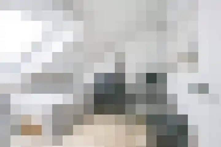 Cella Gallia 26 Houten thumbnail 27