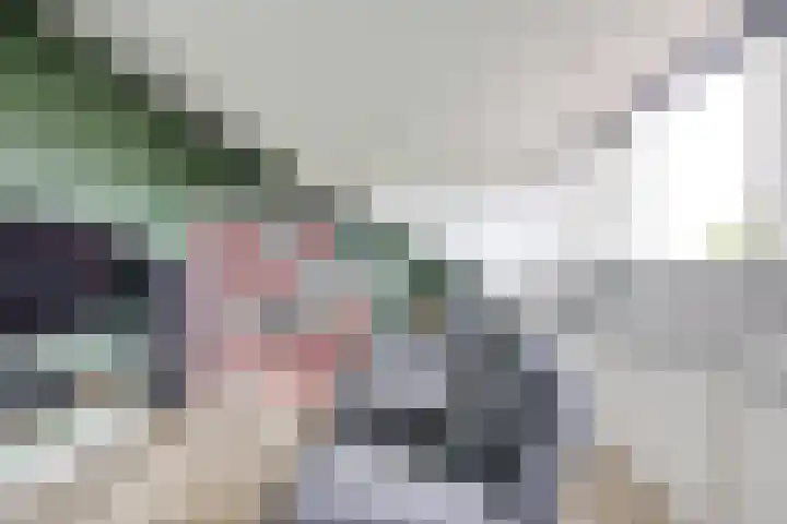Cella Gallia 26 Houten thumbnail 29