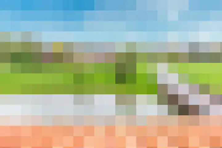 Cella Gallia 26 Houten thumbnail 30