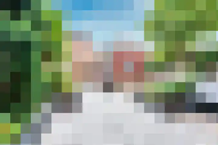 Cella Gallia 26 Houten thumbnail 31
