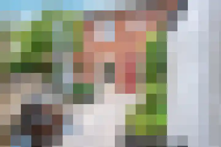 Cella Gallia 26 Houten thumbnail 32