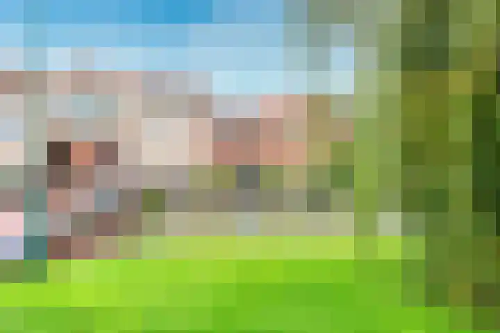 Cella Gallia 26 Houten thumbnail 34
