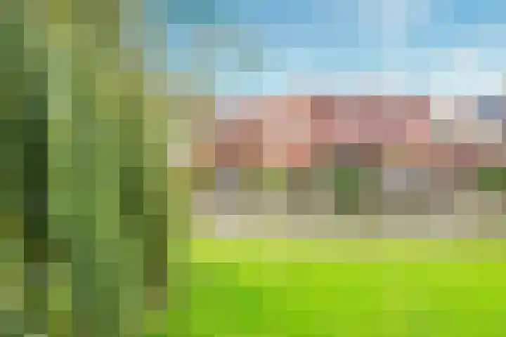 Cella Gallia 26 Houten thumbnail 35