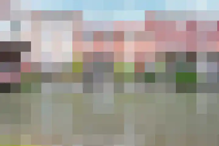 Cella Gallia 26 Houten thumbnail 37