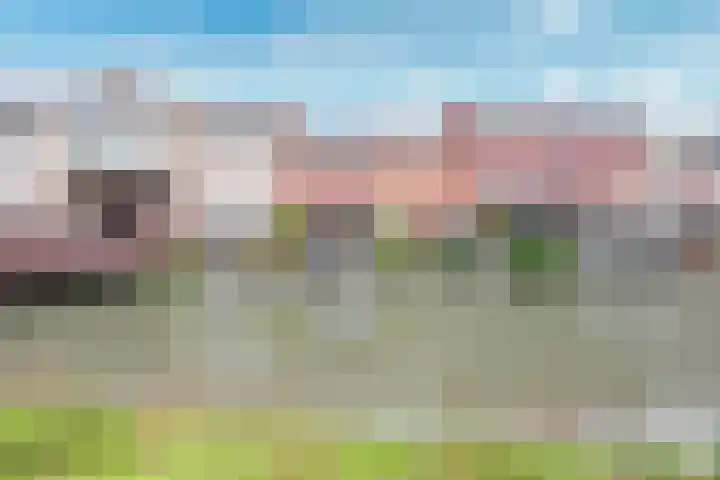 Cella Gallia 26 Houten thumbnail 38