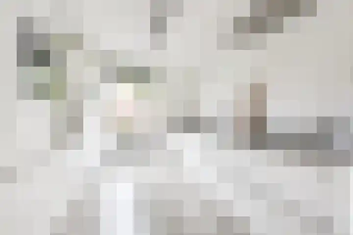 Cella Gallia 26 Houten thumbnail 4