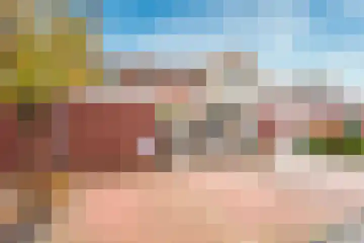 Cella Gallia 26 Houten thumbnail 41