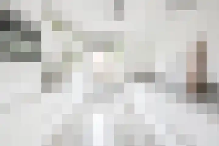 Cella Gallia 26 Houten thumbnail 5