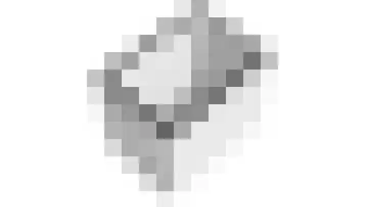 Cella Gallia 26 Houten thumbnail 56