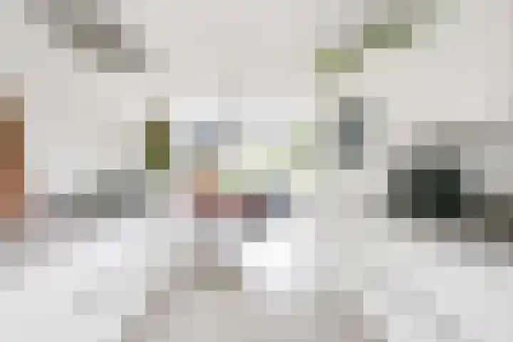 Cella Gallia 26 Houten thumbnail 6