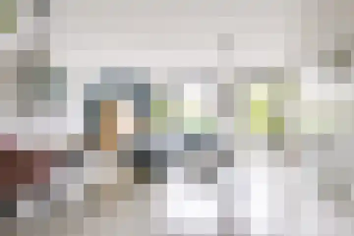 Cella Gallia 26 Houten thumbnail 7