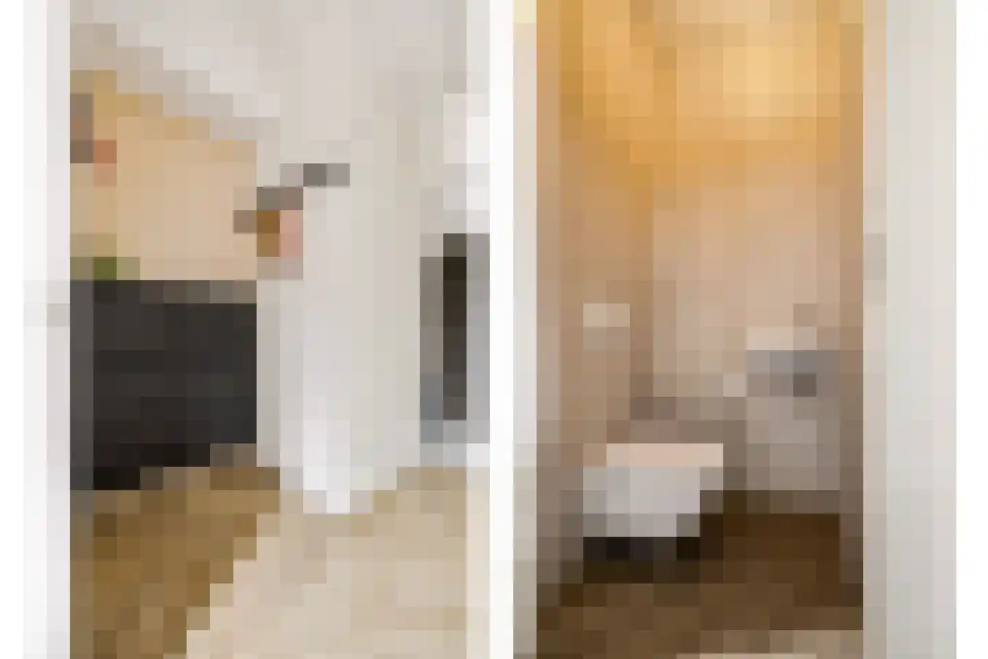 Cella Gallia 32 Houten thumbnail 12
