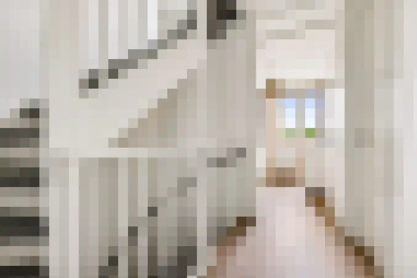 Cella Gallia 32 Houten thumbnail 27