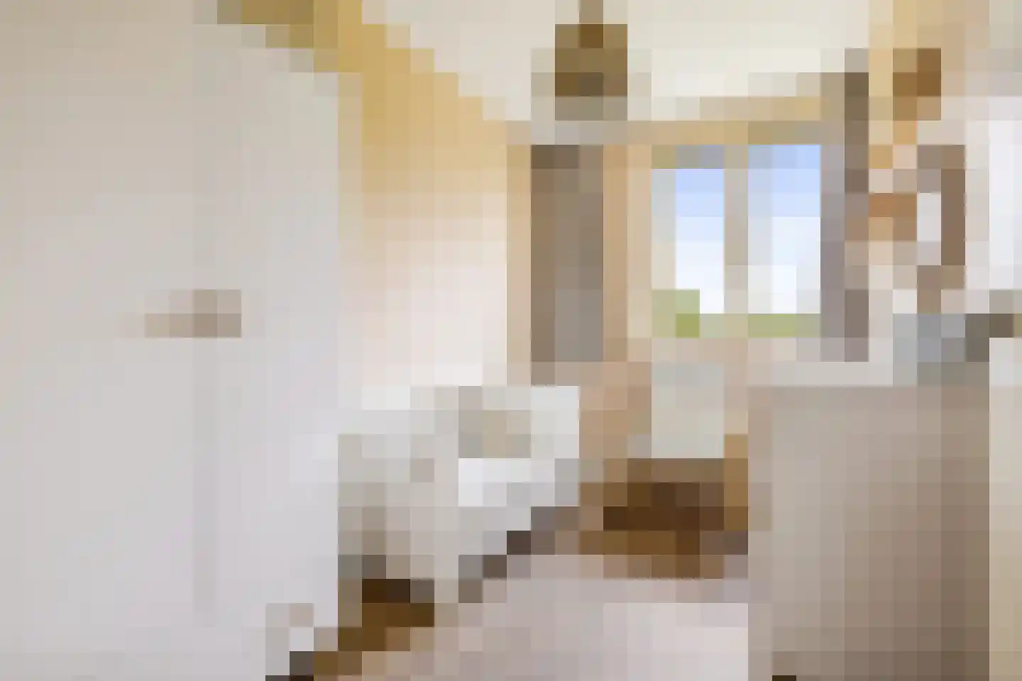 Cella Gallia 32 Houten thumbnail 30