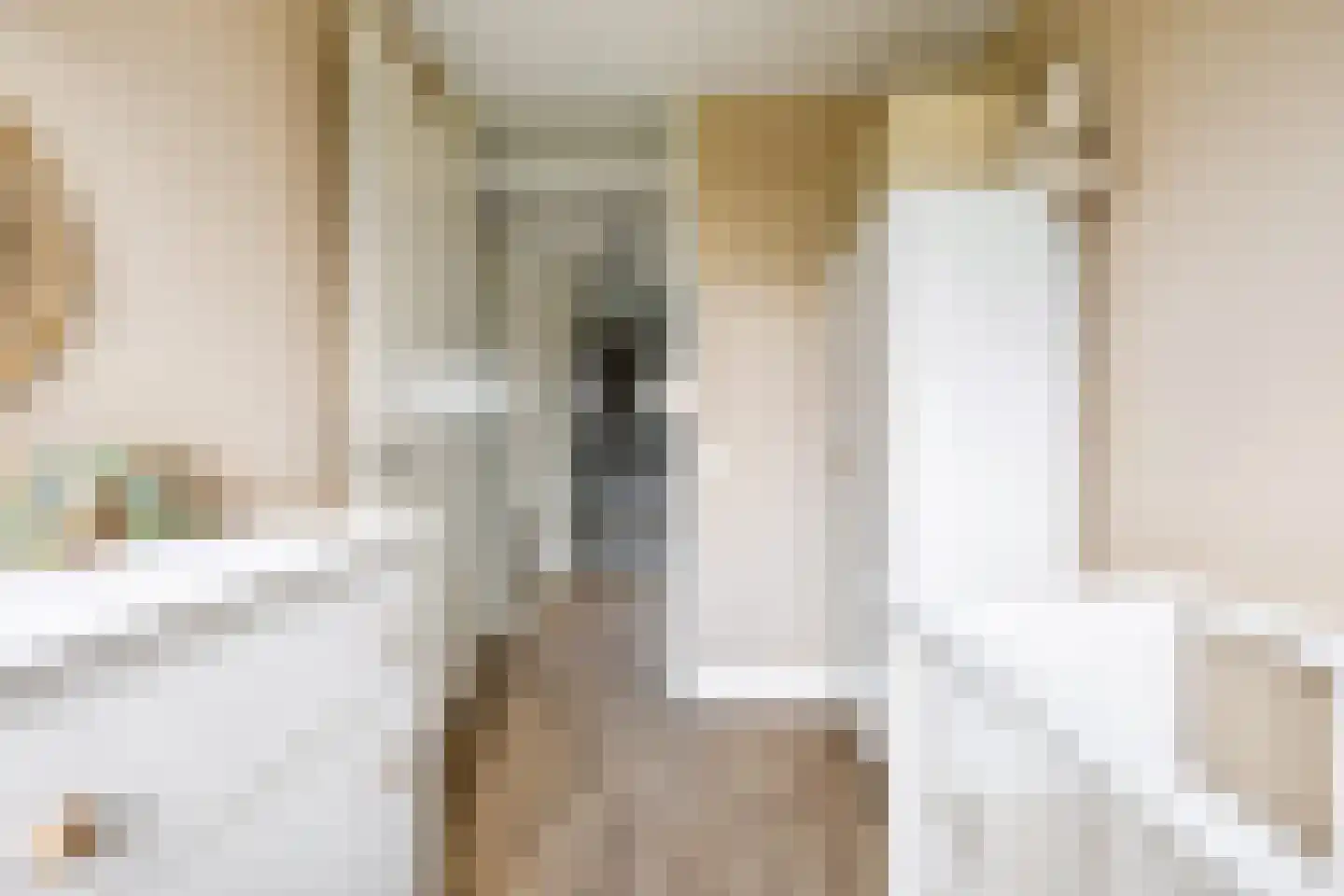 Cella Gallia 32 Houten thumbnail 31