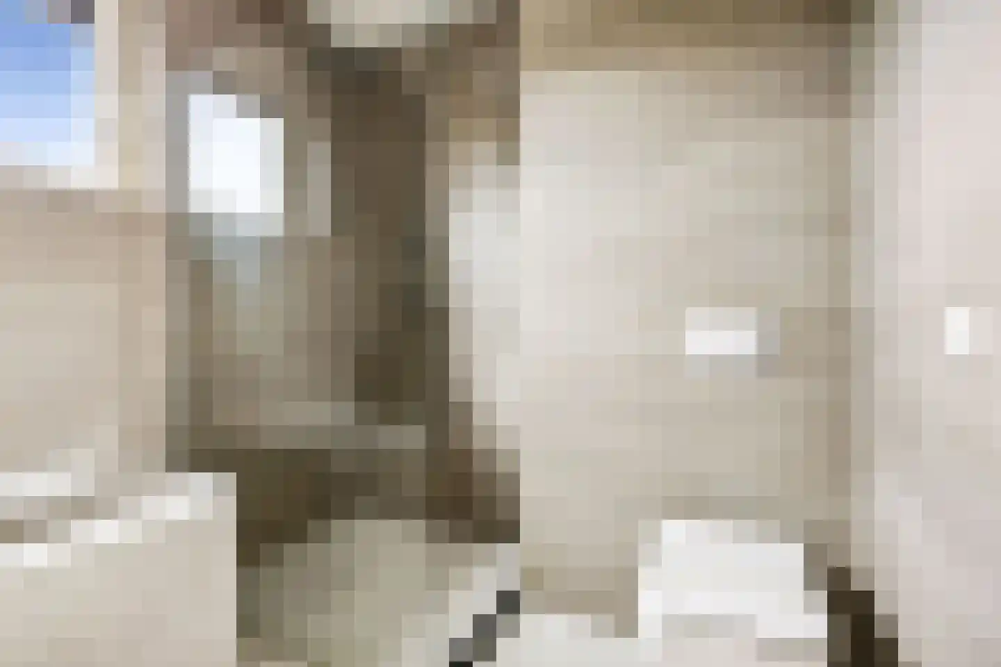 Cella Gallia 32 Houten thumbnail 36